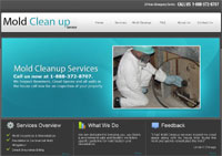 http://www.moldcleanupservices.com